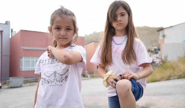 Bayburt'a tatile gelen iki kuzen köpeklerden kaçarken yaralandı