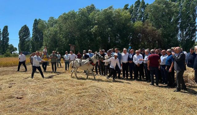 Bayburt'ta Harman Şenliği'nde geleneksel hasat canlandırıldı