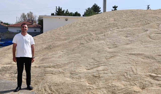 Beylikova Belediyesi tarımda rekor verime ulaştı