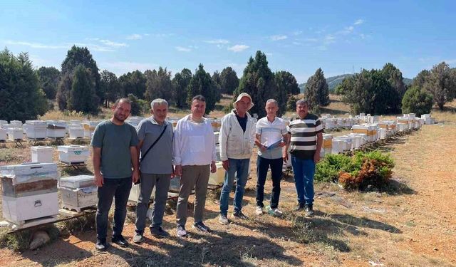 Beyşehir'de arılı kovanlar tek tek sayılıyor