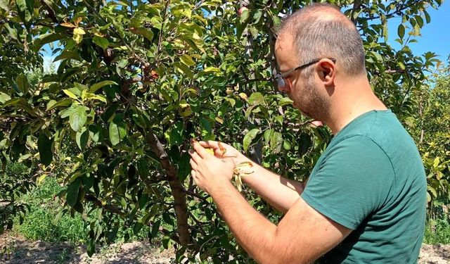 Beyşehir'de tarım arazileri yakın takipte