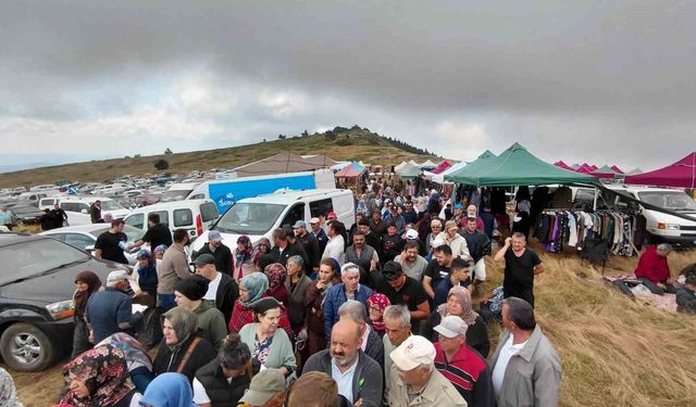 Bin 850 rakımlı zirvede şifa mesaisi: Hacet Bayramı'nda sarı kantaron topladılar