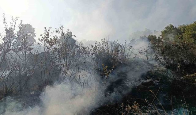 Bingöl'de orman ve mera yangınları söndürüldü