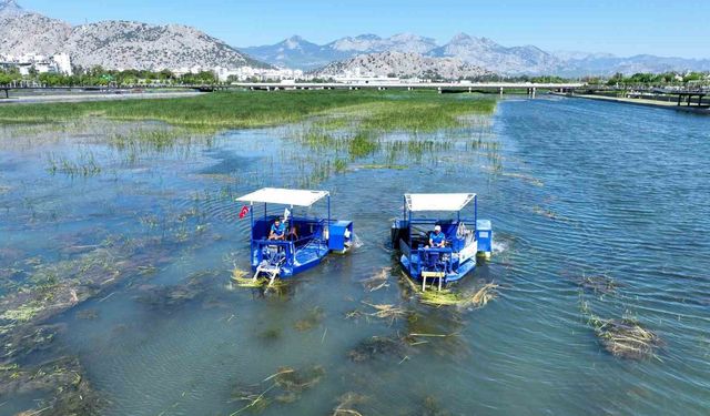 Boğaçayı sucul otlarla kaplandı, 'Caretta' ve 'Mavi Yengeç' göreve başladı