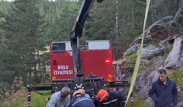 Bolu'da 50 metrelik uçuruma düşen inek vinçle kurtarıldı