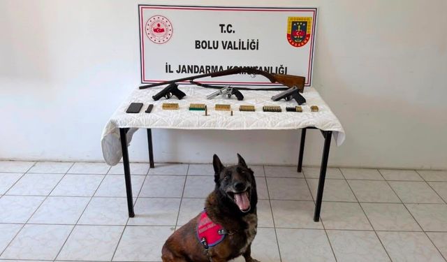 Bolu'da evinde silah ve mühimmat bulunan şüpheli tutuklandı