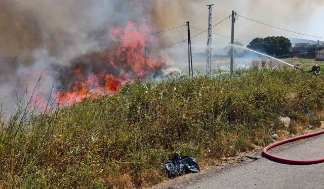 Burhaniye'de ot yangını trafiği etkiledi