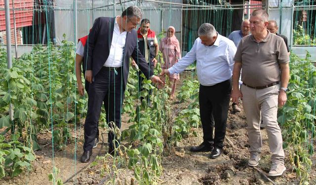 Çarşamba Ovası'nda sağanağın bilançosu ağır: 30 mahallede 5 bin dekar zarar