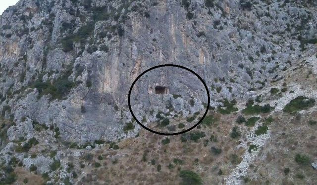 Dağ yüzeyindeki mağarada mahsur kalan şahıs kurtarıldı