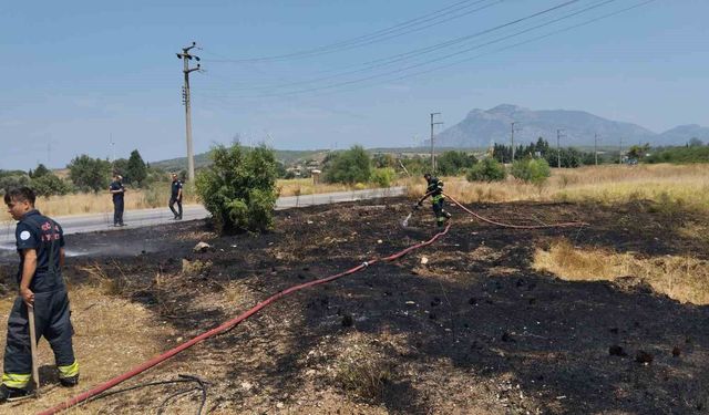 Datça'da kuru ot yangını büyümeden söndürüldü
