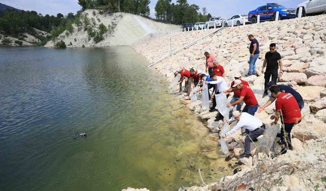 Denizli'de iç sulara can suyu: İl genelinde 1 milyon 386 bin balık bırakıldı