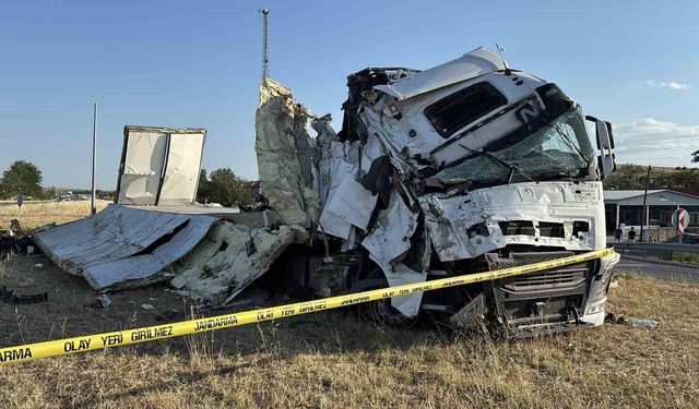 Devrilen tırdaki tonlarca üzüm yola saçıldı