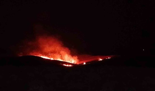Diyarbakır'da anız ve örtü yangını