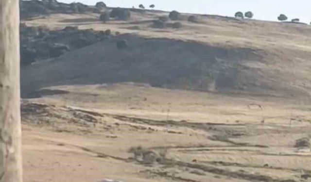 Diyarbakır'da ayağı yuvasındaki bez parçasına takılan leylek kurtarıldı