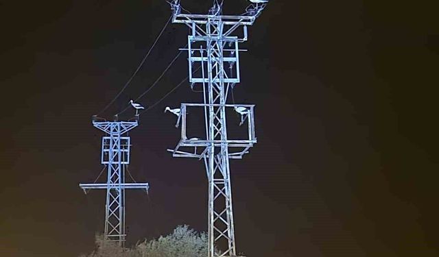 Dönüş yolundaki leyler bazı bölgeleri elektriksiz bıraktı