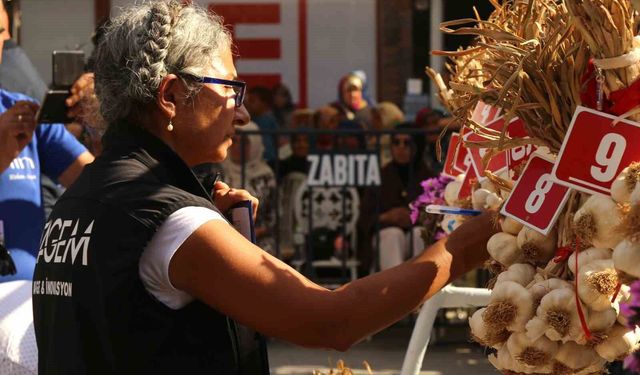 Dünyaca ünlü Taşköprü sarımsağı festivalde yarıştı: 80 demet arasından en iyi sarımsak seçildi