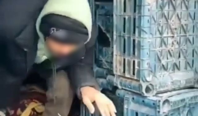 Düzce'de 7 düzensiz göçmen yakalandı