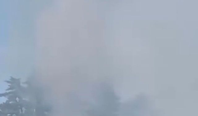 Düzce'de orman yangını kısa sürede söndürüldü