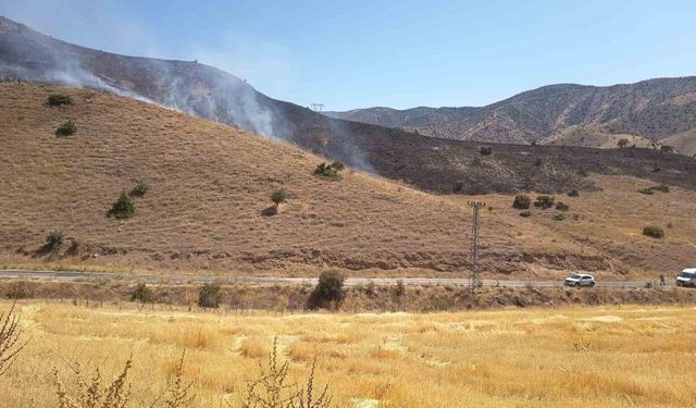 Elazığ'da anız yangını söndürüldü