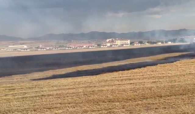 Elazığ'da anız yangını