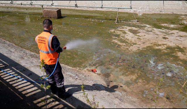 Elazığ'da İlaçlama çalışmaları sürüyor