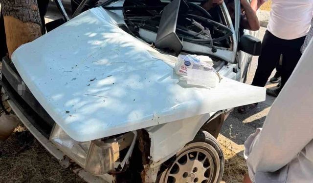 Elazığ'da otomobil ağaca çarptı: 1 yaralı