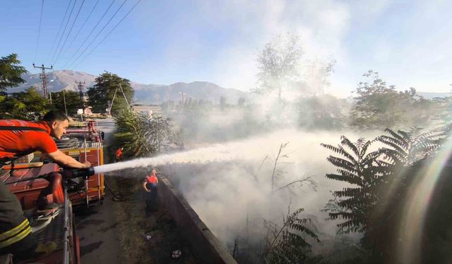 Erzincan'da arsa yangını büyümeden söndürüldü