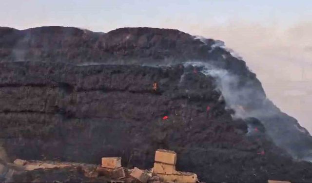 Gaziantep'te korkutan yangın: Binlerce dönüm arazi ve saman balyası kül oldu