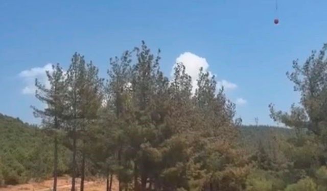 Gaziantep'te orman yangını: Havadan ve karadan müdahaleyle söndürüldü