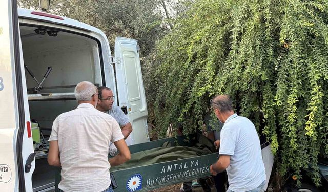 Gazipaşa'da bir kişi evinin merdiveninde ölü bulundu