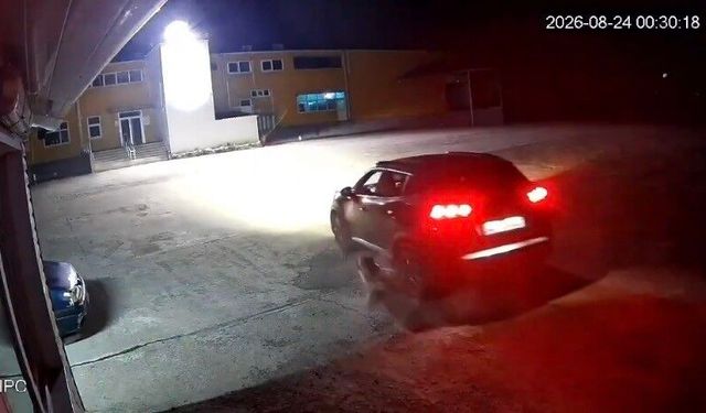 Giresun'da köpeği ezen adam vicdanları yaraladı