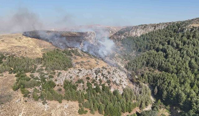Hatay'da orman yangını çıktı