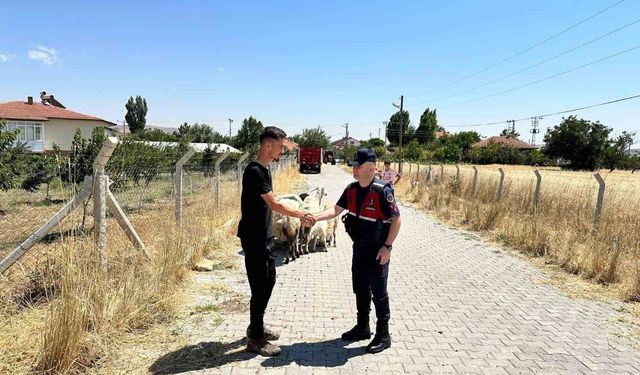 Hayvanları kaybolan çiftçinin yardımına Jandarma ekipleri koştu