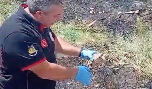 İtfaiye ekipleri yangından kurtardıkları kaplumbağayı suyla serinletti
