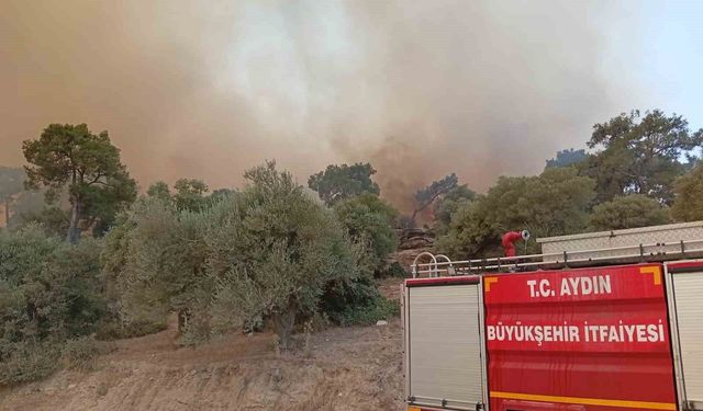 İtfaiye erleri alevlerin arasında kalan kaplumbağayı böyle kurtardı