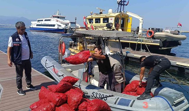 İzmir'de yasa dışı kara midye operasyonu: 560 kilogram midye denize iade edildi