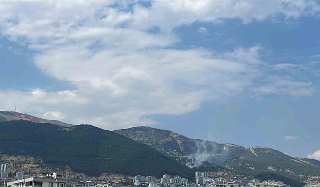 Kahramanmaraş'ta çıkan orman yangını kontrol altına alındı