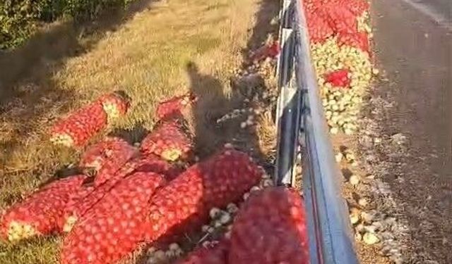 Kamyon devrildi, tonlarca soğan yola saçıldı: 2 yaralı