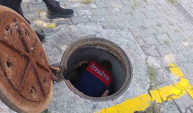 Kanalizasyon borusuna sıkışan yavru kedi kurtarıldı
