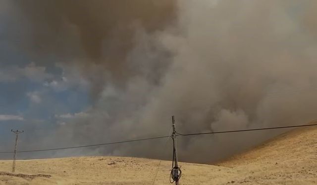 Karakoçan'da örtü yangını