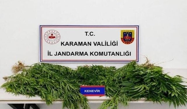 Karaman'da jandarmanın yakaladığı 34 şahıstan 4'ü tutuklandı