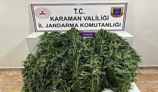 Karaman'da jandarmanın yakaladığı 44 şahıstan 9'u tutuklandı