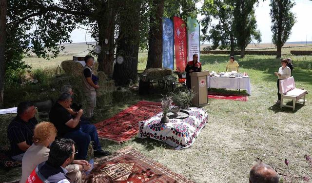 Kars'ta 'Uluslararası Meralar ve Göçebe Hayvancılık Yılı' etkinliği düzenlendi