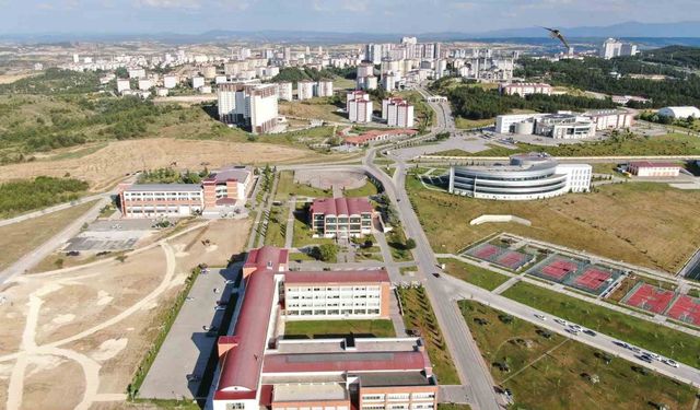 Kastamonu Üniversitesi, bezelye kabuklarından biyokömür üretecek