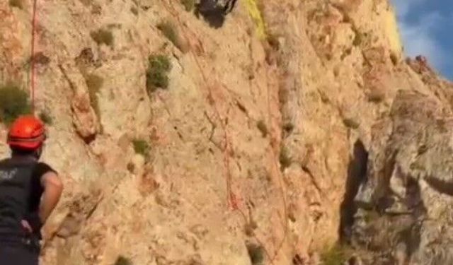 Kayalıklarda mahsur kalan keçiler 4 gün sonra kurtarıldı
