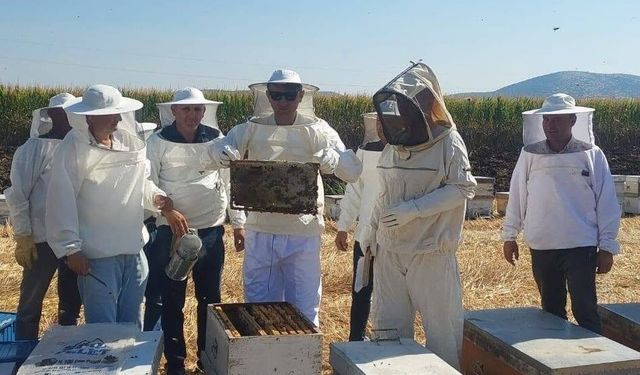 Kaymakam Özcan bal hasadına katıldı