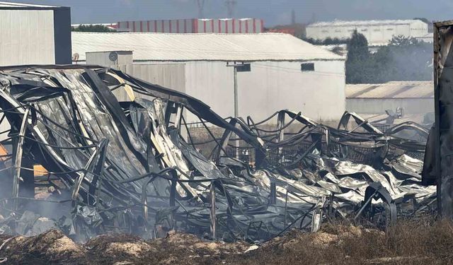 Kocaeli'de kimya fabrikasında yangın: 2 işçi yaralandı, 2 at telef oldu