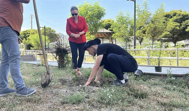 Konut dokunulmazlığını ihlal etti, adliye bahçesine 10 fidan dikti