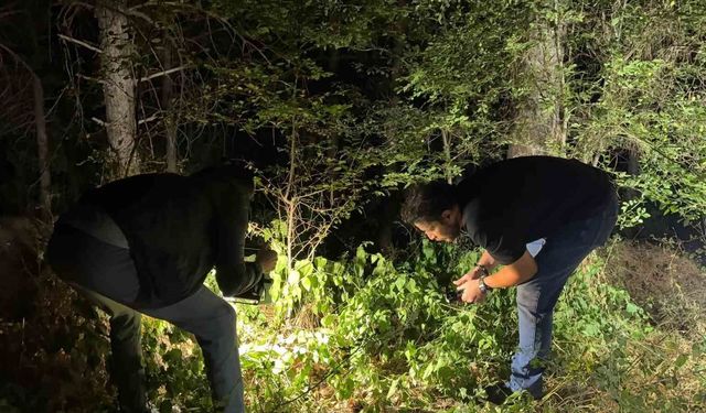 Kütahya'da ormanlık alanda silahlı yaralama: 1 kişi yakalandı