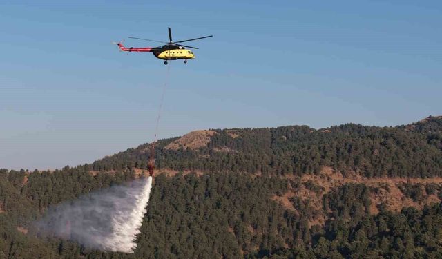 Kuyucak'taki orman yangınında 20 saat geride kaldı